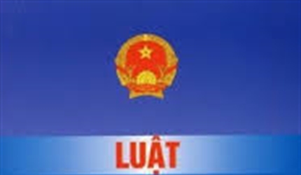 Một số ý kiến góp ý Dự thảo Luật sửa đổi Luật xử lý vi phạm hành chính...